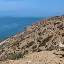 Bone with the coast between Torres de-Alcala and Cala Iris